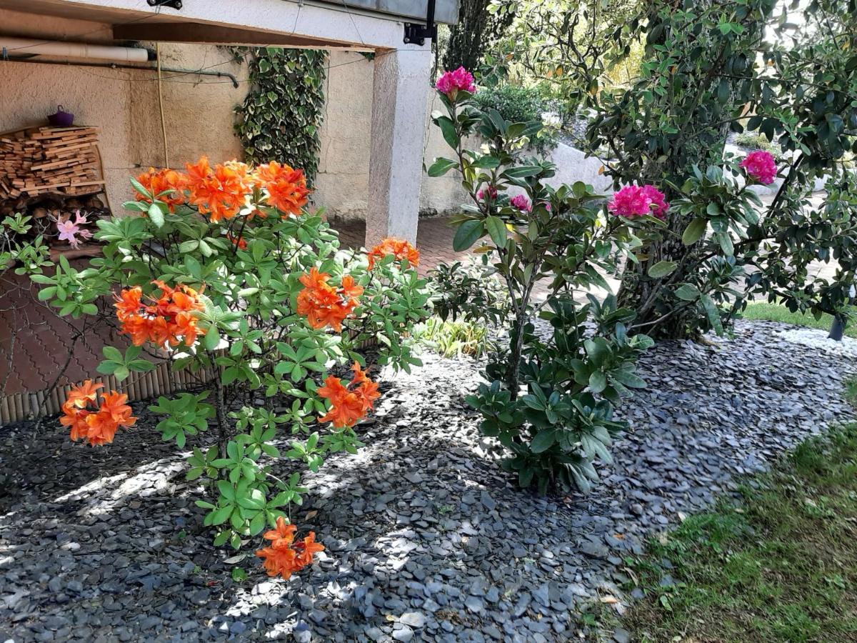 Bed and Breakfast Sakura Fontaine-le-Comte Экстерьер фото